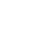 Litigation
